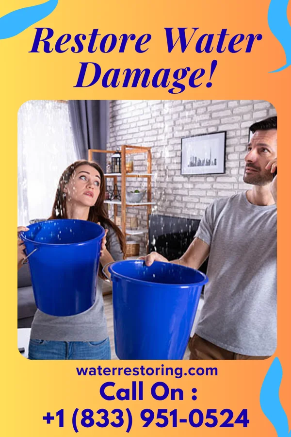 water restoration Allied Water Cleanup Services Bristol