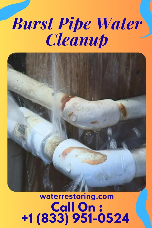 Burst Pipe Water Cleanup in Bristol, IN
