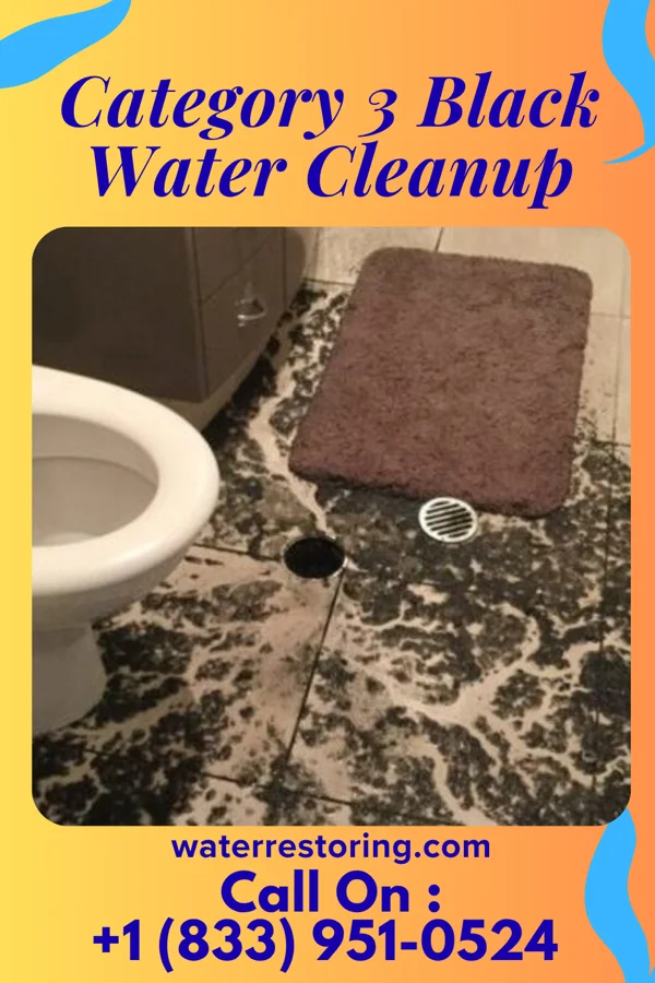 Category 3 Black Water Cleanup in Bristol, IN