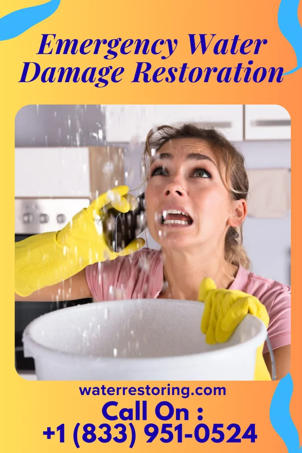 Emergency Water Damage Restoration in Bristol, IN